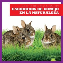 Cachorros de Conejo En La Naturaleza (Rabbit Kits in the Wild) - Chanez, Katie