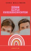 Zehn gayle Kurzgeschichten (eBook, ePUB)