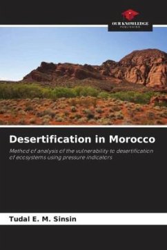 Desertification in Morocco - Sinsin, Tudal E. M.