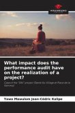 What impact does the performance audit have on the realization of a project?