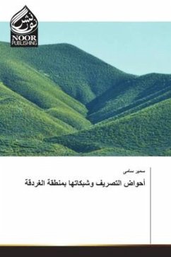 Cover Arabischer Titel