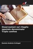 Osservazioni sul ritaglio spaziale denominato Triplo confine