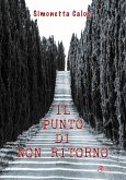 Il punto di non ritorno (eBook, ePUB)