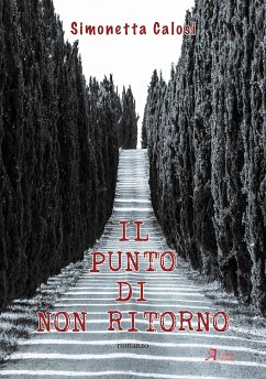 Il punto di non ritorno (eBook, ePUB) - Calosi, Simonetta