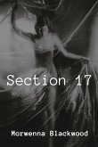 Section 17