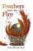 Feathers from the Fire (eBook, ePUB)