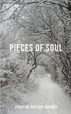 Pieces of Soul