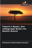 Yaouré e Ayaou, due sottogruppi Baule con destini diversi