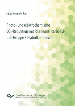 Photo- und elektrochemische CO¿-Reduktion mit Rheniumtricarbonyl- und Gruppe 8 Hydridkomplexen - Paul, Alexander Lucas