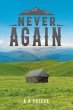 Never Again (eBook, ePUB) - Bild 1