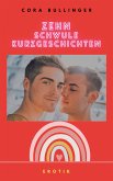 Zehn schwule Kurzgeschichten (eBook, ePUB)