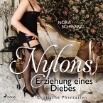 Nylons: Erziehung eines Diebes - Erotische Phantasien (MP3-Download)