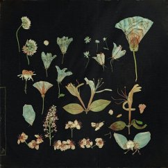 Cover When The Quiet Comes