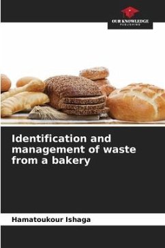Identification and management of waste from a bakery - Ishaga, Hamatoukour