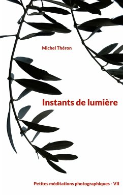 Instants de lumière - Théron, Michel