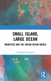 Small Island, Large Ocean (eBook, ePUB)