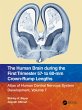 The Human Brain during the First... - Bild 1