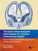 The Human Brain during the First Trimester 57- to 60-mm Crown-Rump Lengths (eBook, PDF)