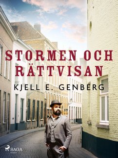 Cover Stormen och rättvisan (eBook, ePUB)