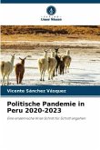 Politische Pandemie in Peru 2020-2023