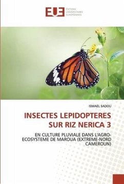 INSECTES LEPIDOPTERES SUR RIZ NERICA 3 - Sadou, Ismael