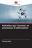 Pollution par l'arsenic et processus d'atténuation
