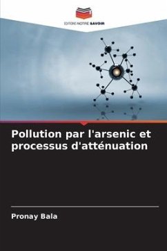 Pollution par l'arsenic et processus d'atténuation - Bala, Pronay