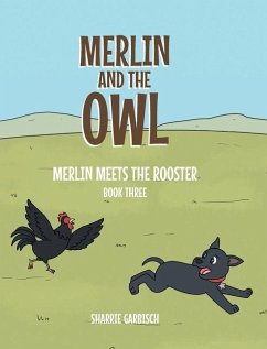 Cover Merlin and the Owl;
