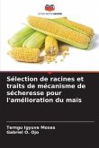 Sélection de racines et traits de mécanisme de sécheresse pour l'amélioration du maïs