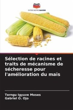 Sélection de racines et traits de mécanisme de sécheresse pour l'amélioration du maïs - Igyuve Moses, Terngu;Ojo, Gabriel O.