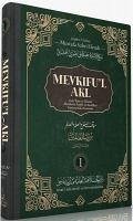 Mevkiful Akl 1. Cilt - Sabri Efendi, Mustafa