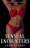 Sensual Encounters (eBook, ePUB)