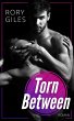 Torn Between (eBook, ePUB) - Bild 1