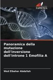 Panoramica della mutazione dell'inversione dell'introne 1 Emofilia A