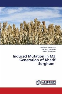Induced Mutation in M3 Generation of Kharif Sorghum