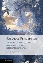 Natural Perception - Palmer, Alice
