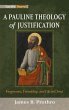 A Pauline Theology of Justification - Bild 1