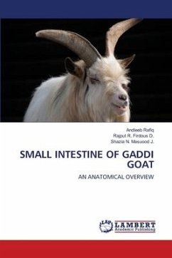 SMALL INTESTINE OF GADDI GOAT - Rafiq, Andleeb;Firdous D., Rajput R.;Masuood J., Shazia N.