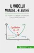 Il modello Mundell-Fleming (eBook, ePUB) - Bild 1