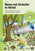 Bäume und Sträucher im Herbst (eBook, PDF)