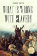What Is Wrong With Slavery (eBook, ePUB) - Bild 1