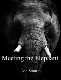 Meeting the Elephant (eBook, ePUB)