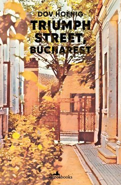 Triumph Street, Bucharest (eBook, ePUB) - Hoenig, Dov