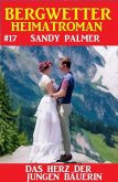Das Herz der jungen Bäuerin: Bergwetter Heimatroman 17 (eBook, ePUB)