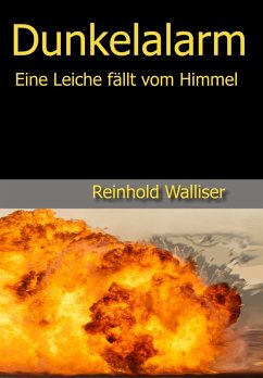 Dunkelalarm (eBook, ePUB) - Walliser, Reinhold