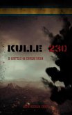 Kulle 230 (eBook, ePUB)