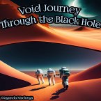 Void Journey through the Black Hole (eBook, ePUB)
