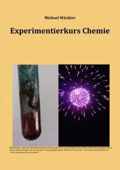 Experimentierkurs Chemie - mit Auswertungshilfen und Versuchsvorschriften für Schulversuche in AGs und Unterricht - Wächter, Michael