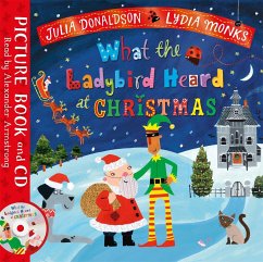 What the Ladybird Heard at Christmas - Donaldson, Julia