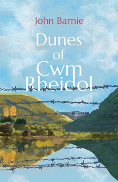 Dunes of Cwm Rheidol - Barnie, John